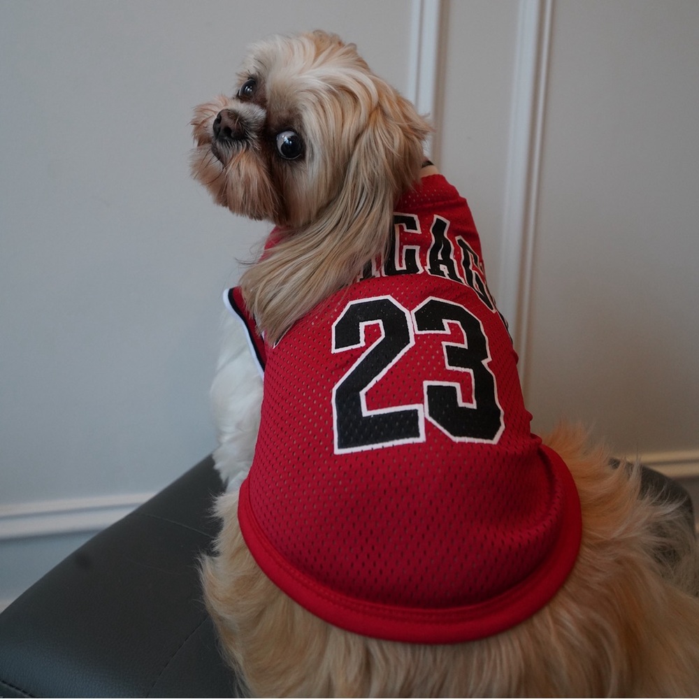 Chicago Bulls Jersey for your pooch (NotAuthentic)